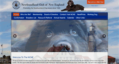 Desktop Screenshot of newfclubne.org